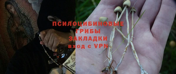 гидра Армянск