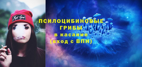 гидра Армянск